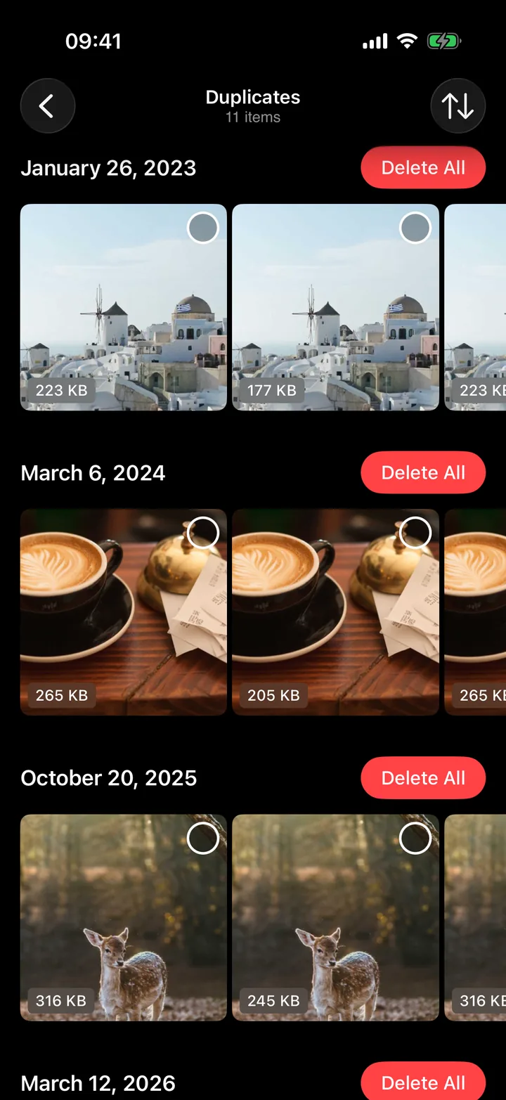 Duplicate photos grouped by date